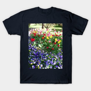 Tulip Time in Canberra Australia 3 T-Shirt